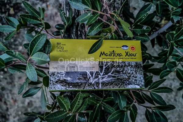 Μαστίχα Χίου Μικρό Δάκρυ Mastiha Shop 50γρ