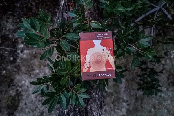 Σκόνη Μαστίχας Χίου Συμπλήρωμα Διατροφής Mastiha Shop 60γρ