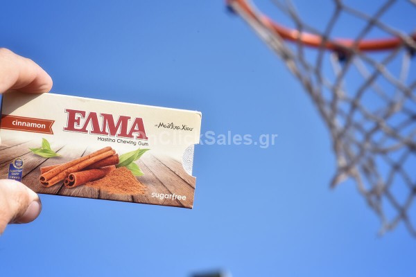 Τσίχλα ΕΛΜΑ Κανέλα Mastiha Shop