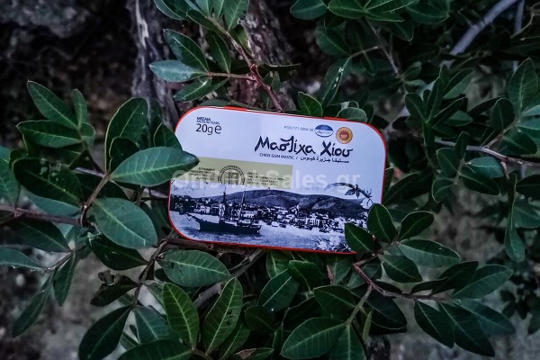 Μαστίχα Χίου Μεσαίο Δάκρυ - Μεταλλικό Φακελάκι Mastiha Shop 20γρ