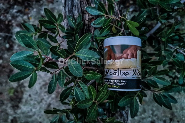 Σκόνη Μαστίχας Χίου Μαγειρική Mastiha Shop 50γρ Σκόνη Μαστίχας Χίου Μαγειρική Mastiha Shop 50γρ